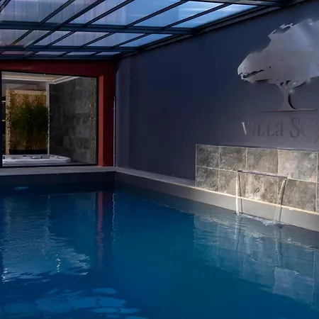 Seyal - Avec Piscine - Jacuzzi - Sauna & Climatisation Villa Le Mans