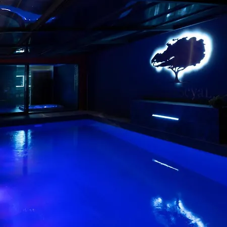 Seyal - Avec Piscine - Jacuzzi - Sauna & Climatisation فيلة لو مان