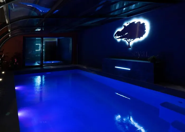 Seyal - Avec Piscine - Jacuzzi - Sauna & Climatisation ヴィラ ルマン