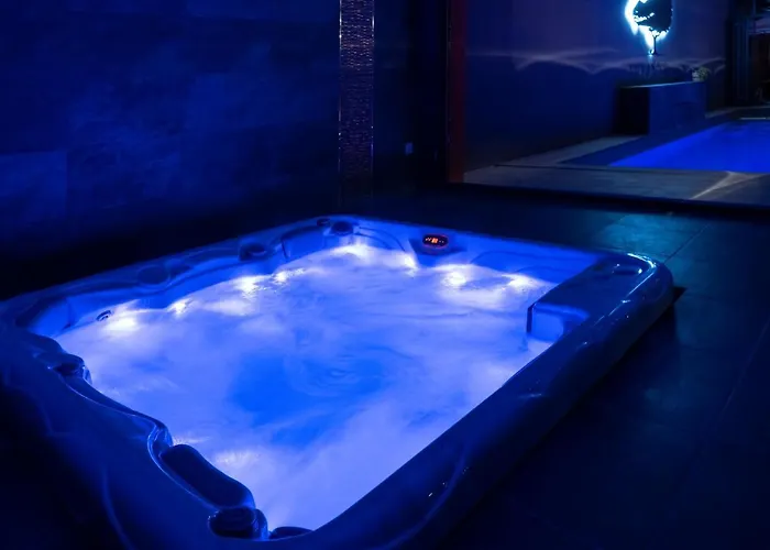 Villa Seyal - Avec Piscine - Jacuzzi - Sauna&climatisation Le Mans